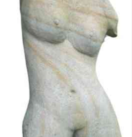 Fiegenbaum12
